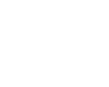 Valiant-TMS-logo